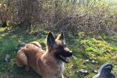 IMG-20240309-WA0108