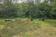 IMG-20240629-WA0006