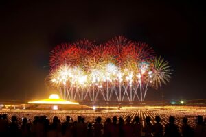 people watching fireworks