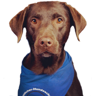 11_guilia.png Wittlicher Hundeschule